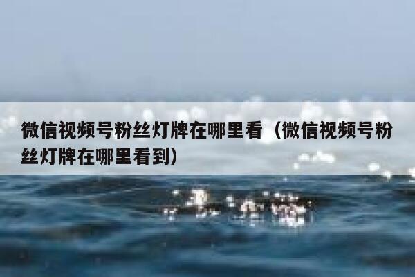 微信视频号粉丝灯牌在哪里看（微信视频号粉丝灯牌在哪里看到） 第1张