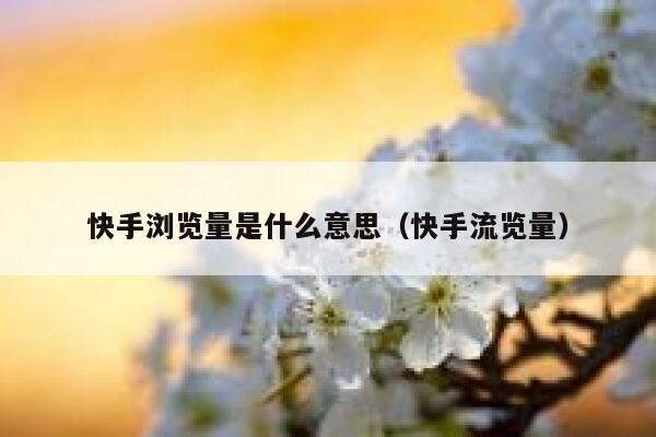 快手浏览量是什么意思（快手流览量） 第1张