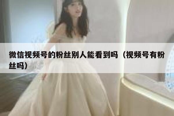 微信视频号的粉丝别人能看到吗（视频号有粉丝吗） 第1张