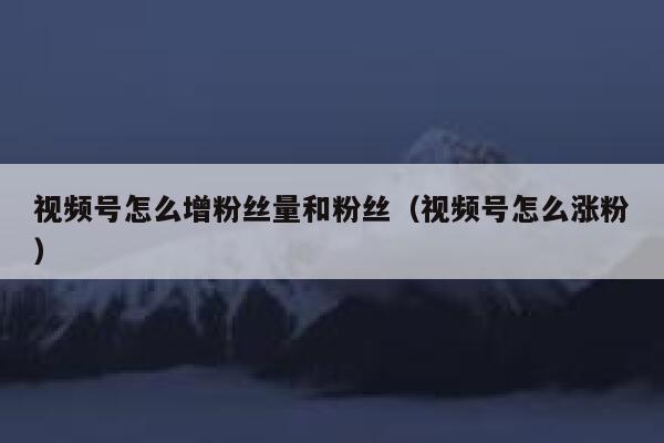 视频号怎么增粉丝量和粉丝（视频号怎么涨粉） 第1张