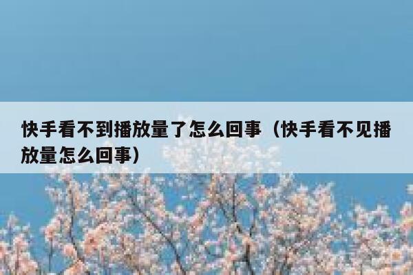快手看不到播放量了怎么回事（快手看不见播放量怎么回事） 第1张
