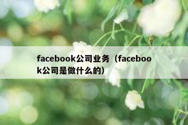 facebook公司业务（facebook公司是做什么的） 第1张