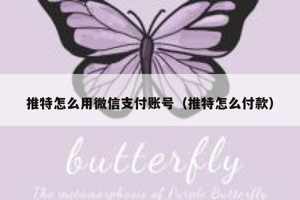 推特怎么用微信支付账号（推特怎么付款） 第1张