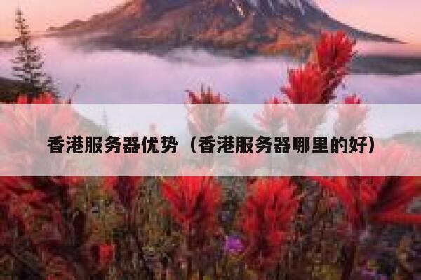 香港服务器优势（香港服务器哪里的好） 第1张
