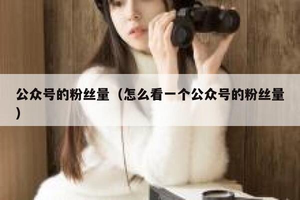 公众号的粉丝量（怎么看一个公众号的粉丝量） 第1张