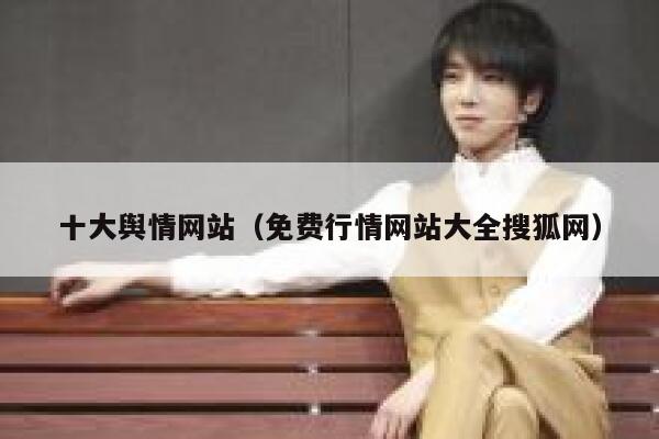 十大舆情网站（免费行情网站大全搜狐网） 第1张