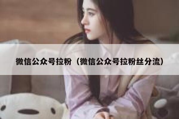 微信公众号拉粉（微信公众号拉粉丝分流） 第1张