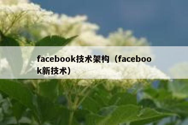 facebook技术架构（facebook新技术） 第1张