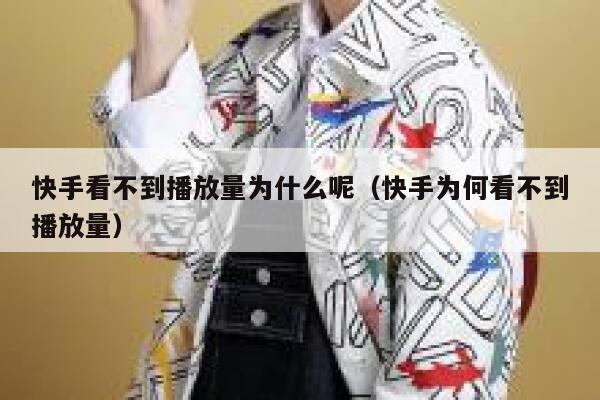 快手看不到播放量为什么呢（快手为何看不到播放量） 第1张