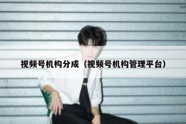 视频号机构分成（视频号机构管理平台） 第1张