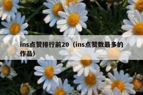 ins点赞排行前20（ins点赞数最多的作品） 第1张