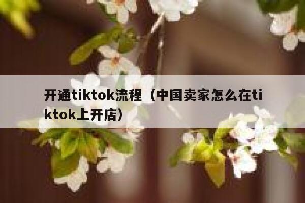 开通tiktok流程（中国卖家怎么在tiktok上开店） 第1张