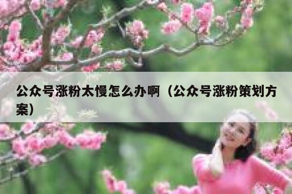 公众号涨粉太慢怎么办啊（公众号涨粉策划方案） 第1张