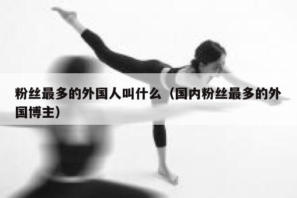粉丝最多的外国人叫什么（国内粉丝最多的外国博主） 第1张