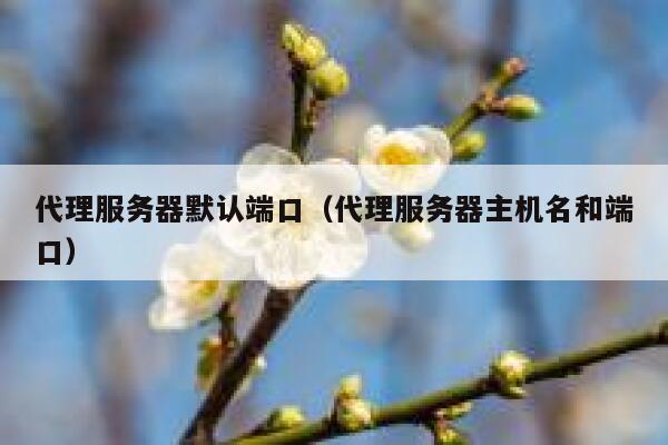 代理服务器默认端口（代理服务器主机名和端口） 第1张