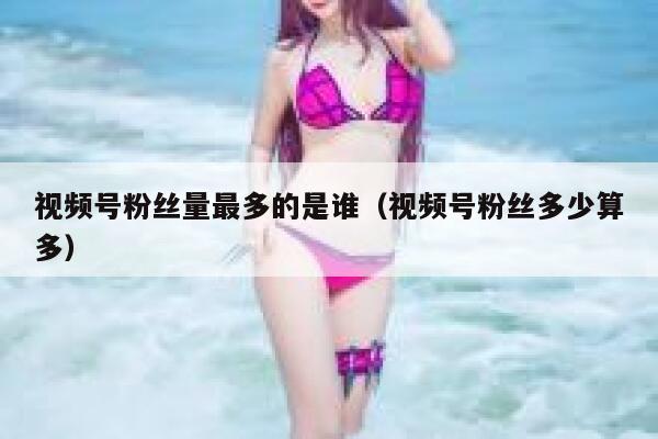 视频号粉丝量最多的是谁（视频号粉丝多少算多） 第1张