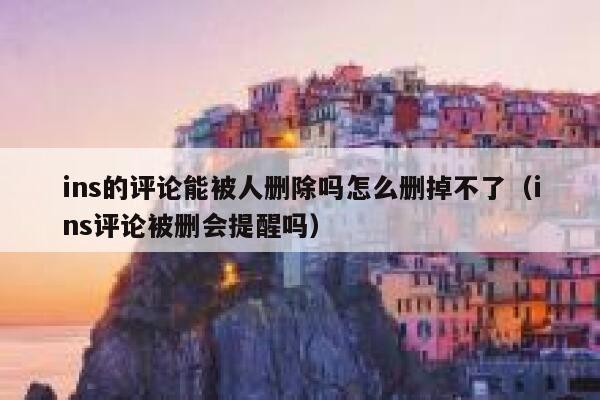 ins的评论能被人删除吗怎么删掉不了（ins评论被删会提醒吗） 第1张