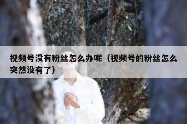 视频号没有粉丝怎么办呢（视频号的粉丝怎么突然没有了） 第1张