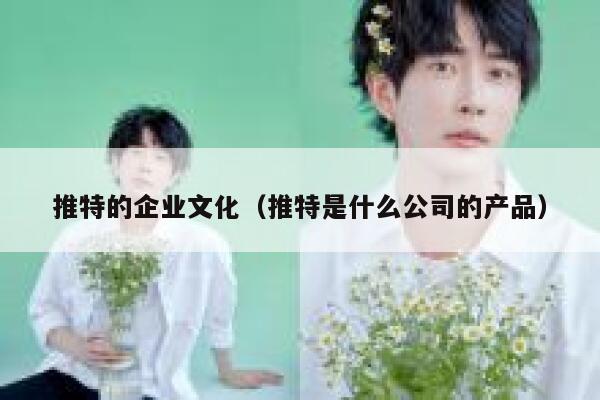 推特的企业文化（推特是什么公司的产品） 第1张