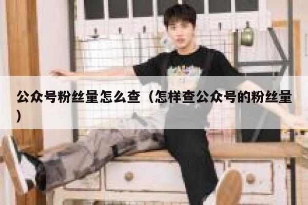 公众号粉丝量怎么查（怎样查公众号的粉丝量） 第1张