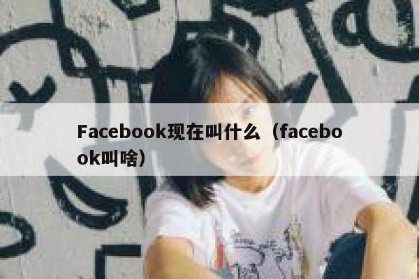 Facebook现在叫什么（facebook叫啥） 第1张