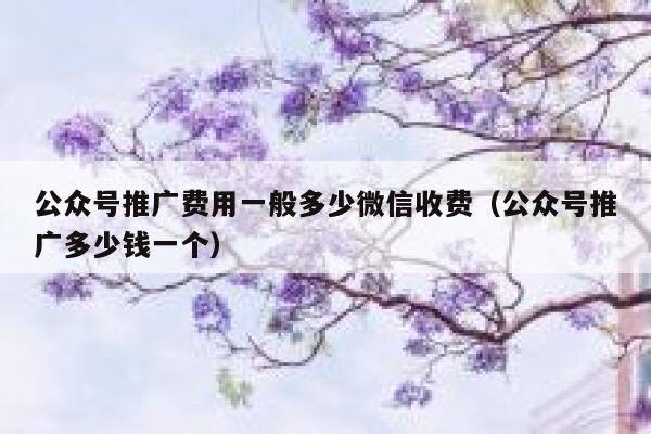 公众号推广费用一般多少微信收费（公众号推广多少钱一个） 第1张