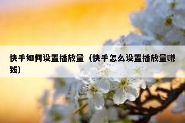快手如何设置播放量（快手怎么设置播放量赚钱） 第1张