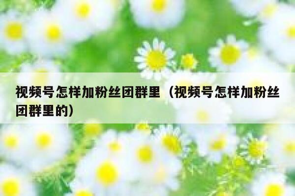 视频号怎样加粉丝团群里（视频号怎样加粉丝团群里的） 第1张