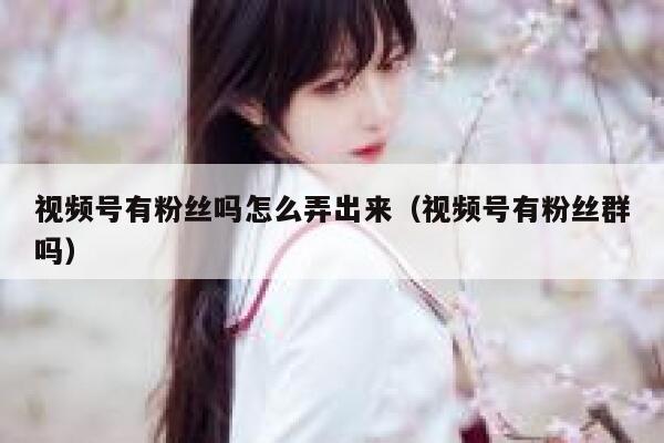 视频号有粉丝吗怎么弄出来（视频号有粉丝群吗） 第1张