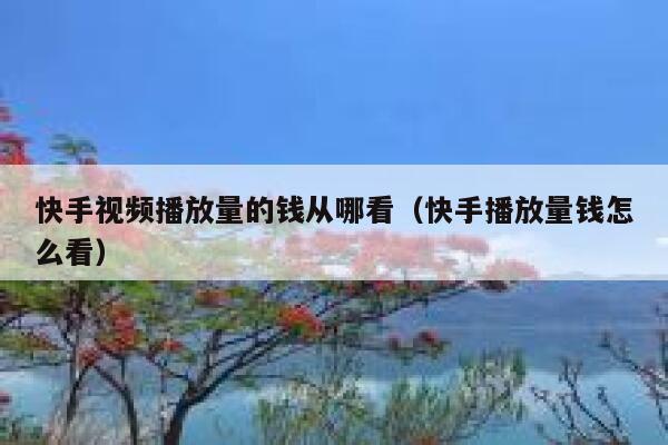 快手视频播放量的钱从哪看（快手播放量钱怎么看） 第1张