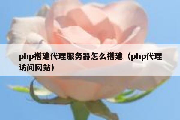 php搭建代理服务器怎么搭建（php代理访问网站） 第1张