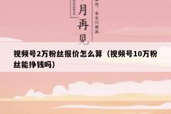 视频号2万粉丝报价怎么算（视频号10万粉丝能挣钱吗） 第1张