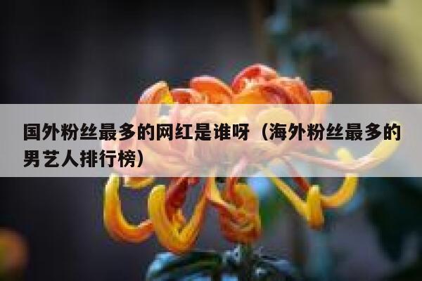 国外粉丝最多的网红是谁呀（海外粉丝最多的男艺人排行榜） 第1张