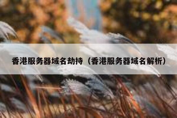 香港服务器域名劫持（香港服务器域名解析） 第1张
