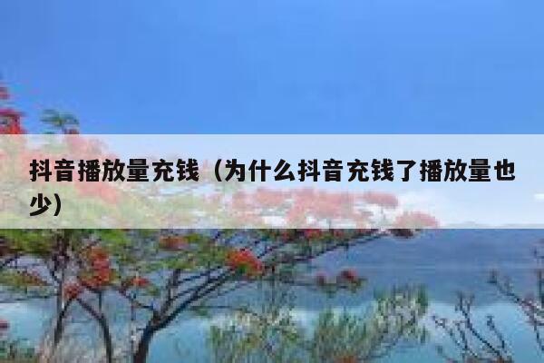 抖音播放量充钱（为什么抖音充钱了播放量也少） 第1张