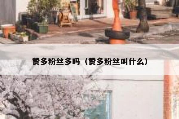 赞多粉丝多吗（赞多粉丝叫什么） 第1张