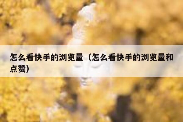 怎么看快手的浏览量（怎么看快手的浏览量和点赞） 第1张
