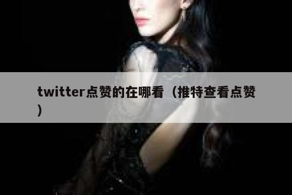 twitter点赞的在哪看（推特查看点赞） 第1张