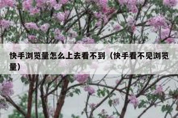 快手浏览量怎么上去看不到（快手看不见浏览量） 第1张