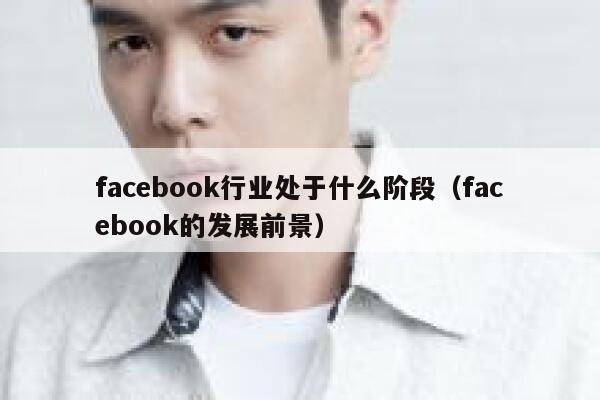 facebook行业处于什么阶段（facebook的发展前景） 第1张