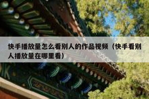 快手播放量怎么看别人的作品视频（快手看别人播放量在哪里看） 第1张