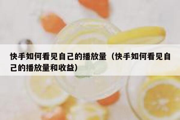快手如何看见自己的播放量（快手如何看见自己的播放量和收益） 第1张