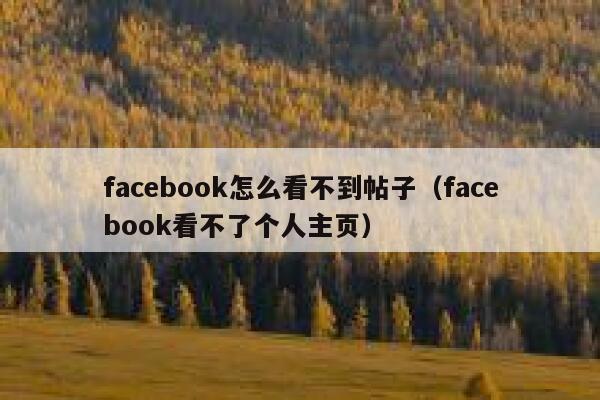 facebook怎么看不到帖子（facebook看不了个人主页） 第1张