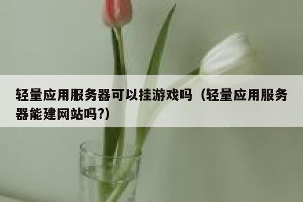 轻量应用服务器可以挂游戏吗（轻量应用服务器能建网站吗?） 第1张