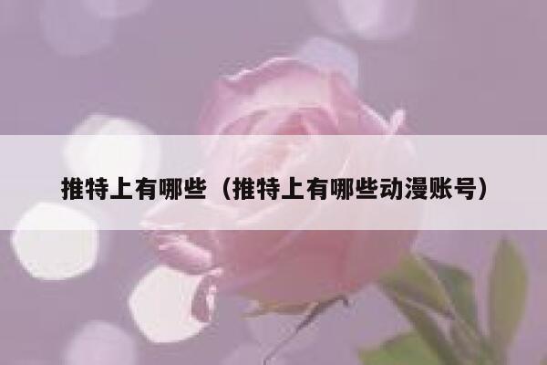 推特上有哪些（推特上有哪些动漫账号） 第1张
