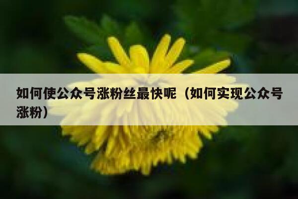 如何使公众号涨粉丝最快呢（如何实现公众号涨粉） 第1张