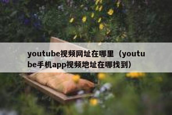 youtube视频网址在哪里（youtube手机app视频地址在哪找到） 第1张