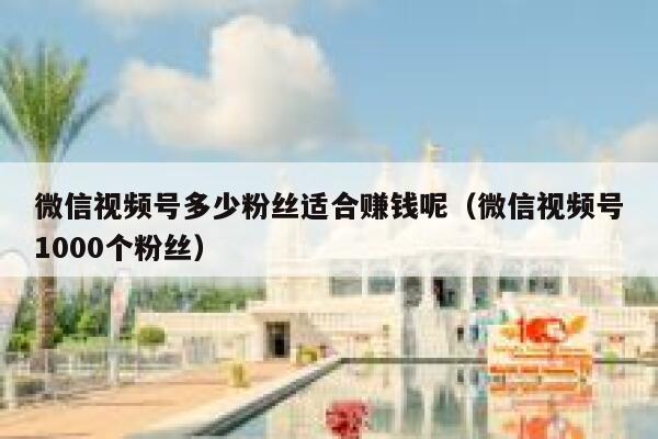 微信视频号多少粉丝适合赚钱呢（微信视频号1000个粉丝） 第1张