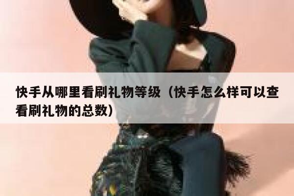 快手从哪里看刷礼物等级（快手怎么样可以查看刷礼物的总数） 第1张