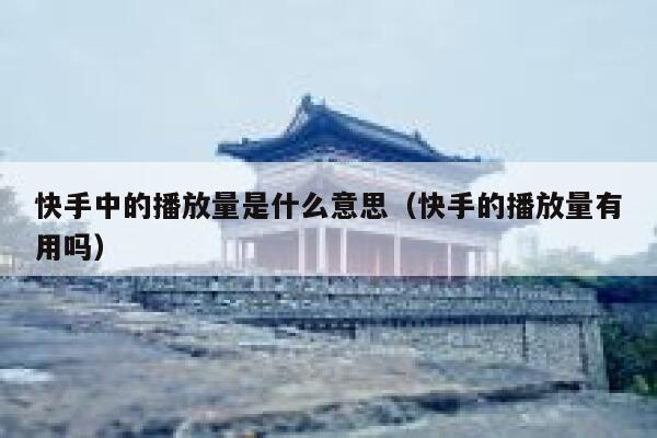 快手中的播放量是什么意思（快手的播放量有用吗） 第1张